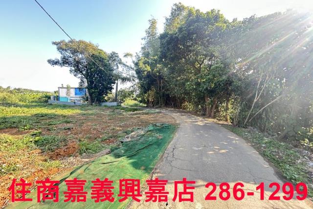 嘉義農地-8