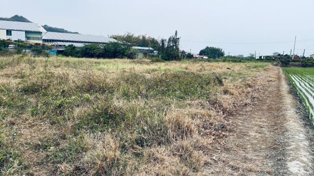 高雄林園工業地-4
