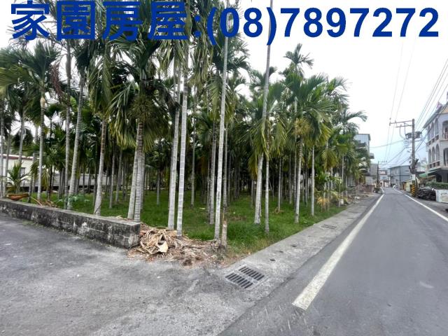 屏東新埤建地-4