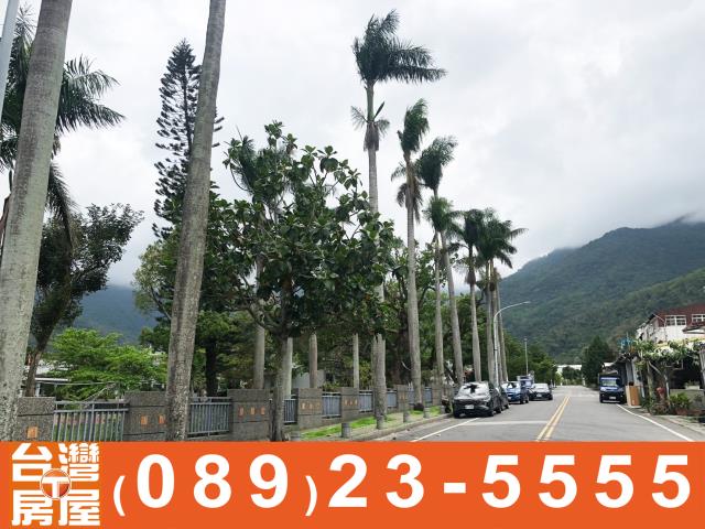 台東關山建地-13