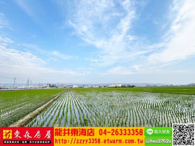 台中龍井農地-5