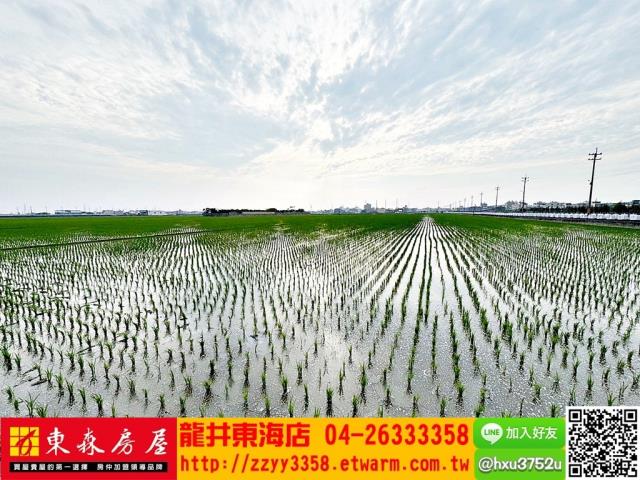 台中龍井農地-6