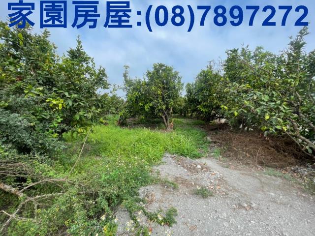 屏東南州農地-2