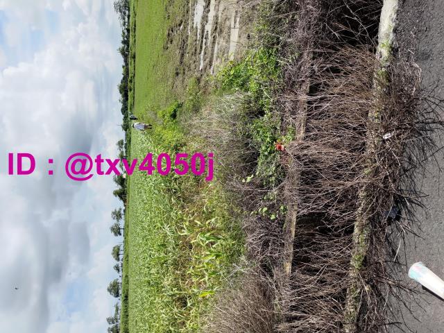 台南將軍農地-3