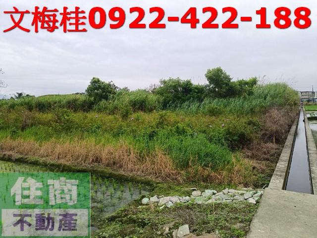 宜蘭宜蘭市農地-4