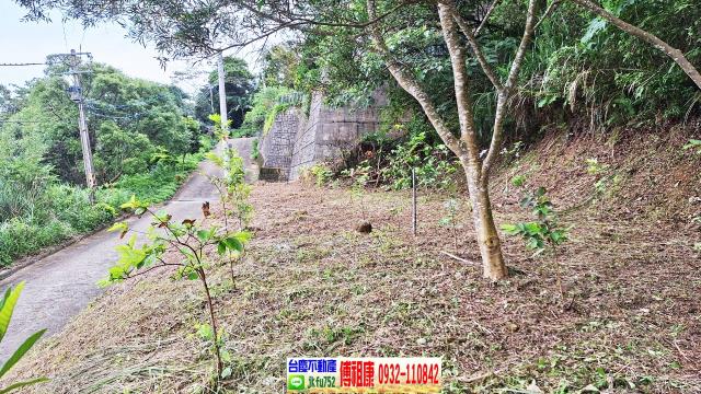 新竹竹東農地-10