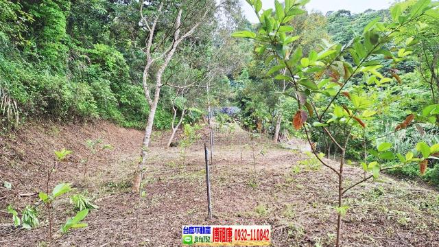 新竹竹東農地-3