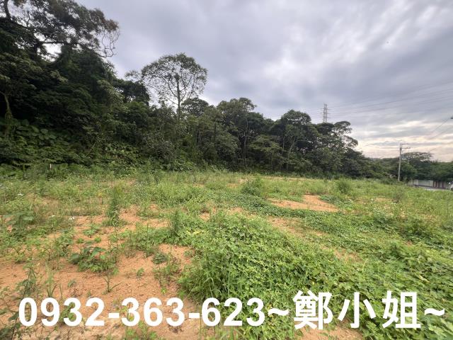 桃園平鎮農地-11