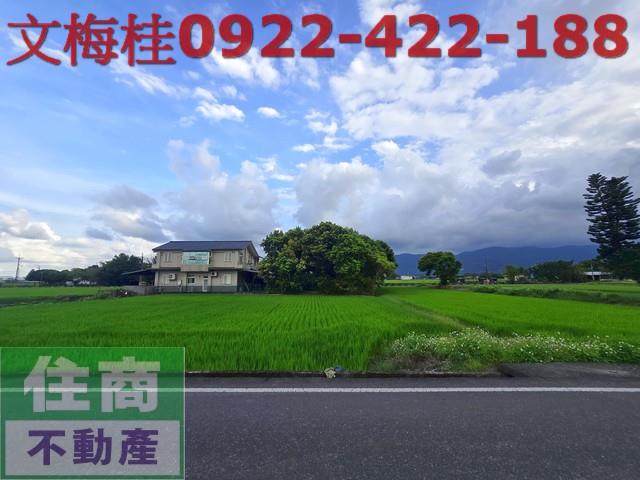 宜蘭三星農地-1