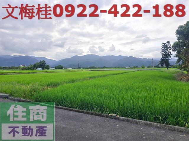 宜蘭三星農地-7