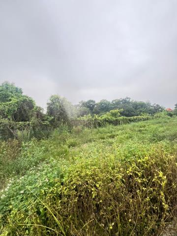 嘉義水上農地-11