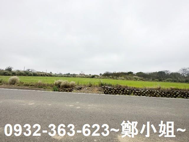 觀音農地-4