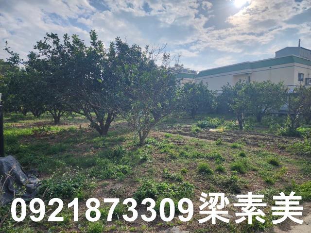 台南麻豆工業地-6