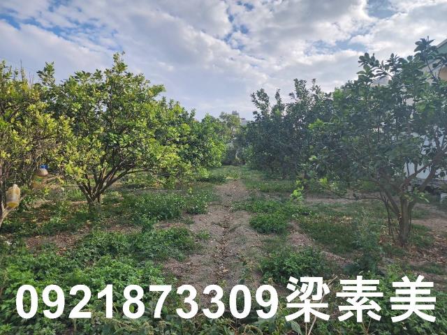 台南麻豆工業地-7