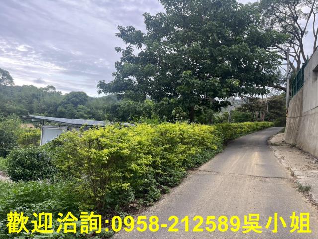 新竹新埔山坡地-12