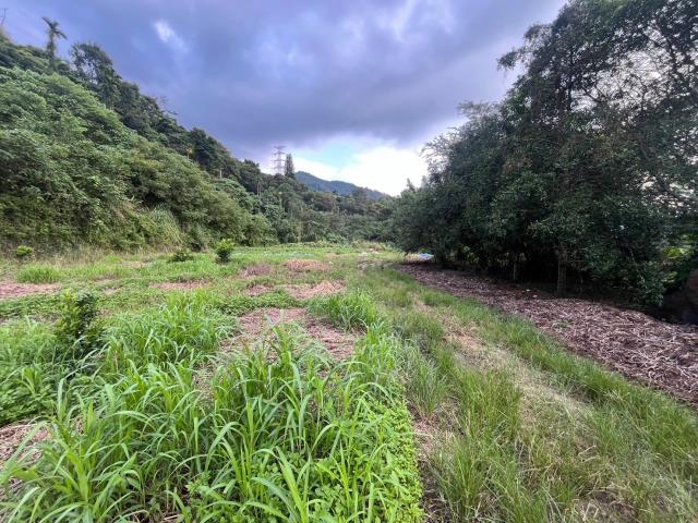 南投山坡地-11