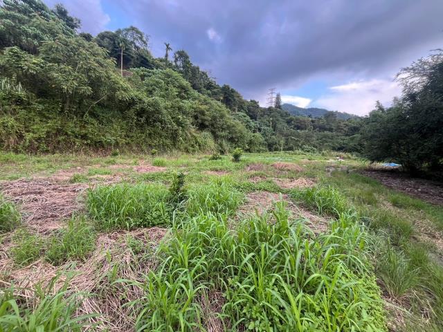 南投山坡地-15