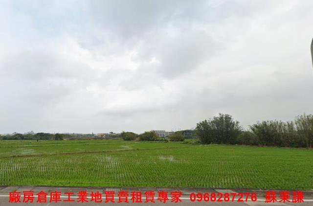 楊梅工業地-1