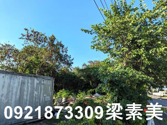 台南新市農地-4