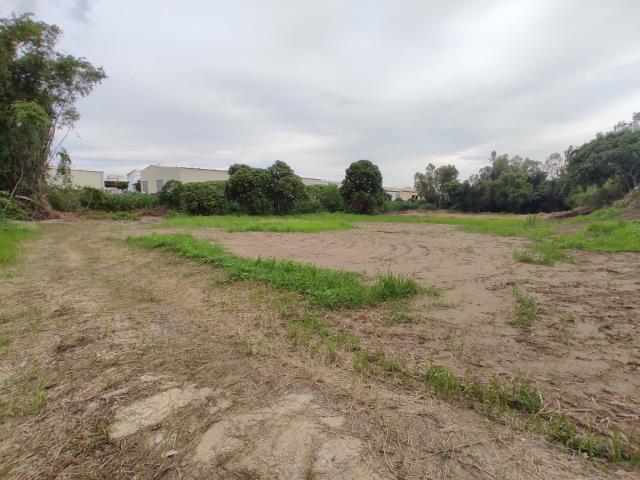 台南善化農地-2