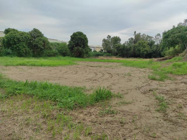 台南善化農地-5