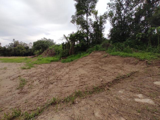 台南善化農地-6