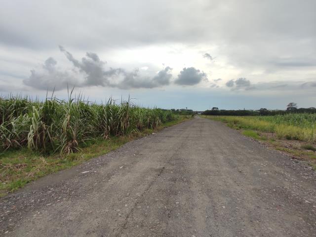 台南善化農地-9