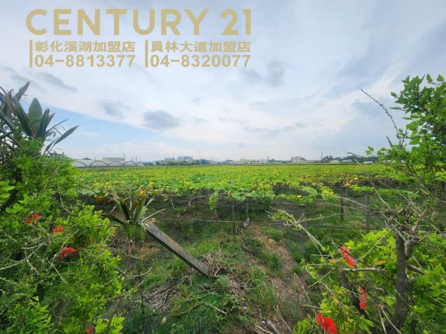 彰化農地-8