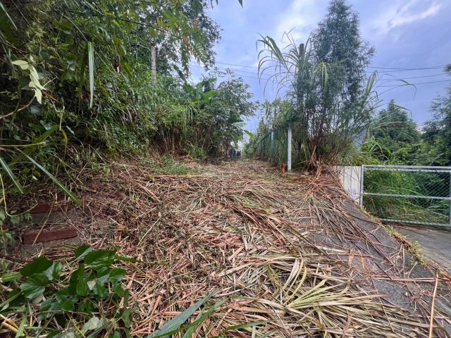 台中太平山坡地-13