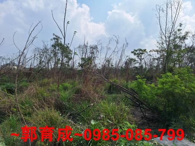 雲林元長建地-4