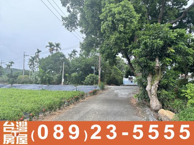 台東農地-2