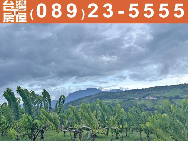 台東農地-9