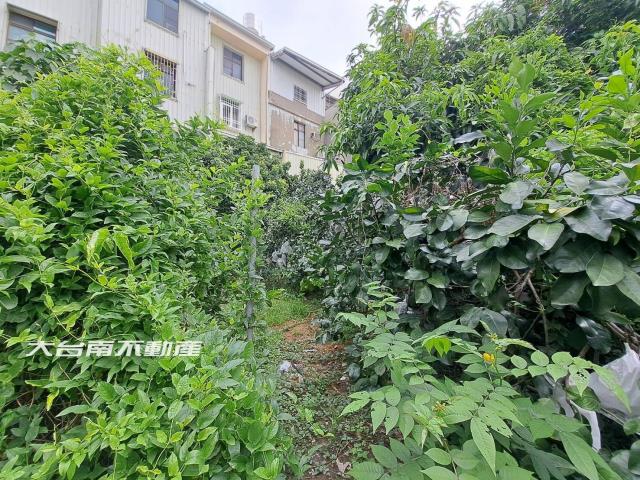 台南麻豆建地-10