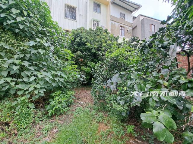 台南麻豆建地-11