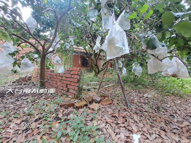 台南麻豆建地-5