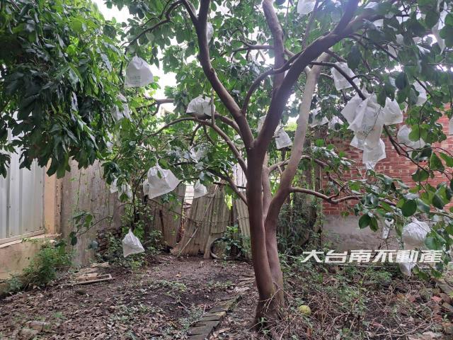 台南麻豆建地-9