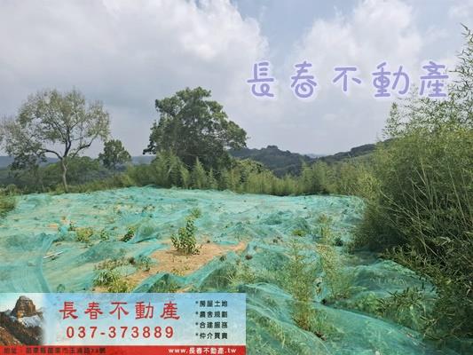 苗栗頭份農地-1