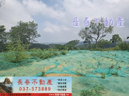 苗栗頭份農地-2