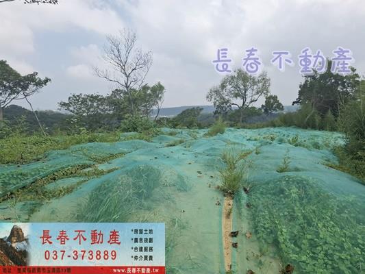 苗栗頭份農地-3