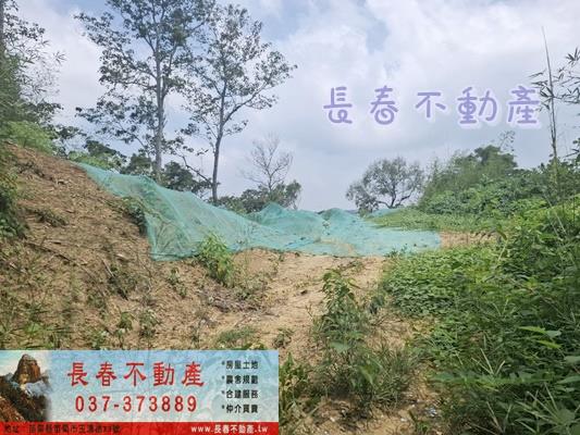 苗栗頭份農地-4