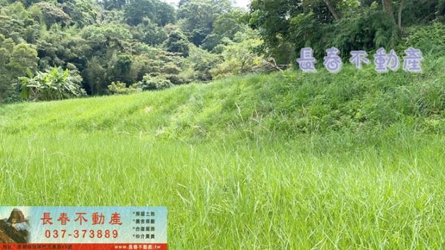 苗栗三灣農地-1