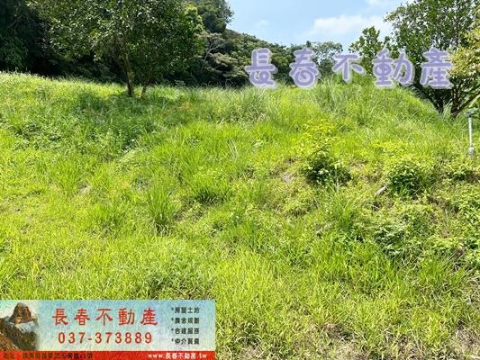 苗栗三灣農地-2