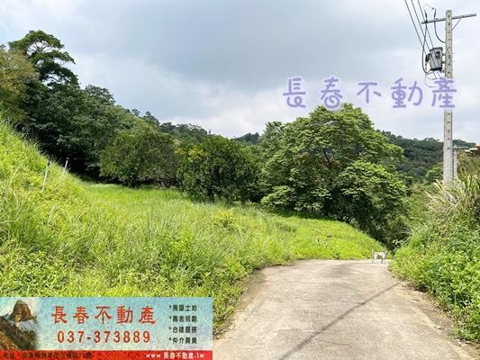 苗栗三灣農地-4