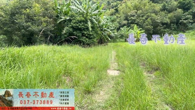 苗栗三灣農地-5