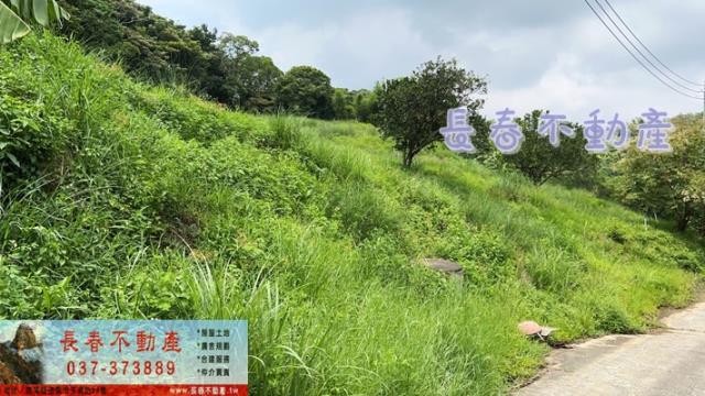 苗栗三灣農地-6