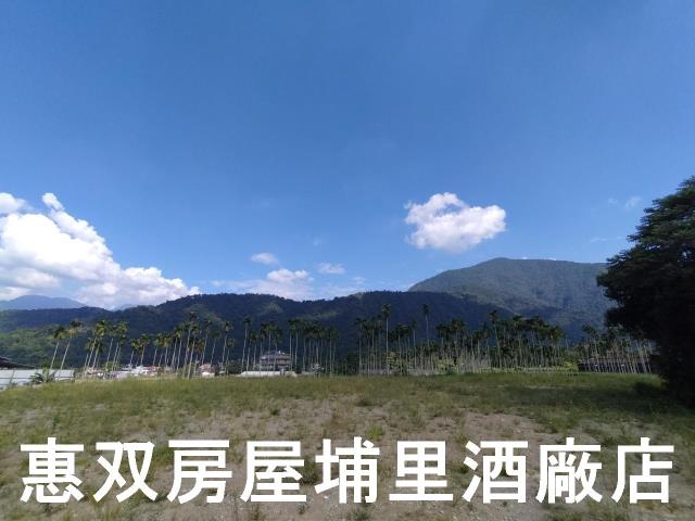 埔里農地-4