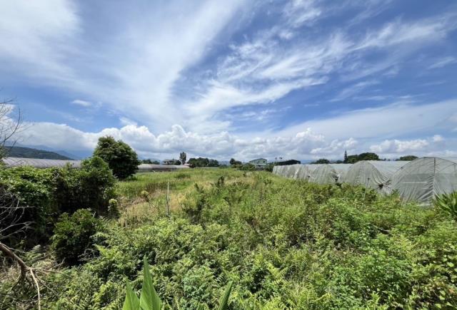 南投埔里農地-6