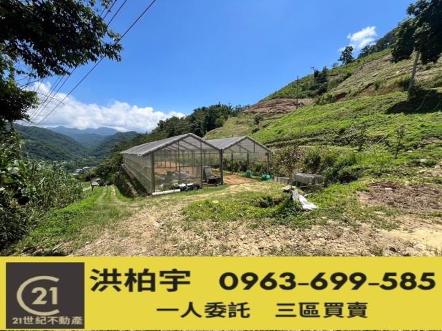 南投國姓農地-1