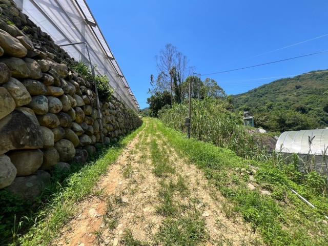 南投國姓農地-2