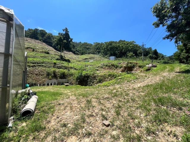 南投國姓農地-4